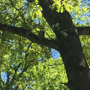 Meet your Posher, Caitlin